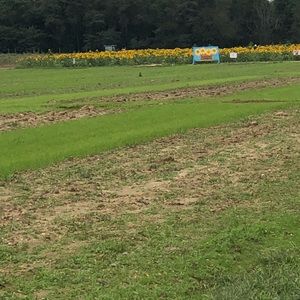 Meet your Posher, Jamillah